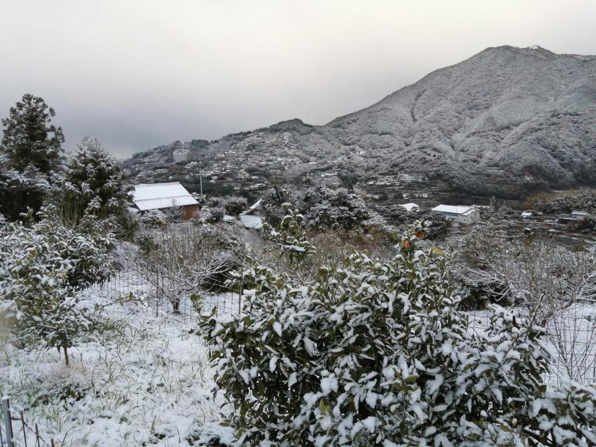 Kumano Kodo Nagano Guesthouse Tanabe Kültér fotó