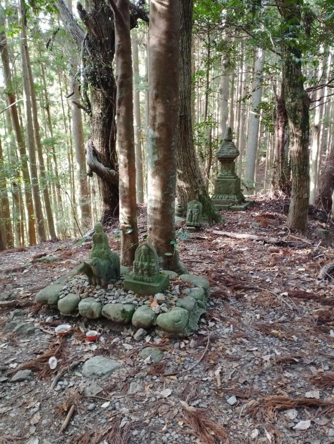 Kumano Kodo Nagano Guesthouse Tanabe Kültér fotó
